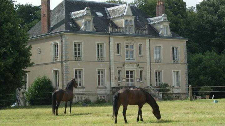 Domaine De Bel Air Hotel Cerans-Foulletourte Bagian luar foto